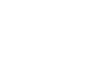 GeoTrust Security